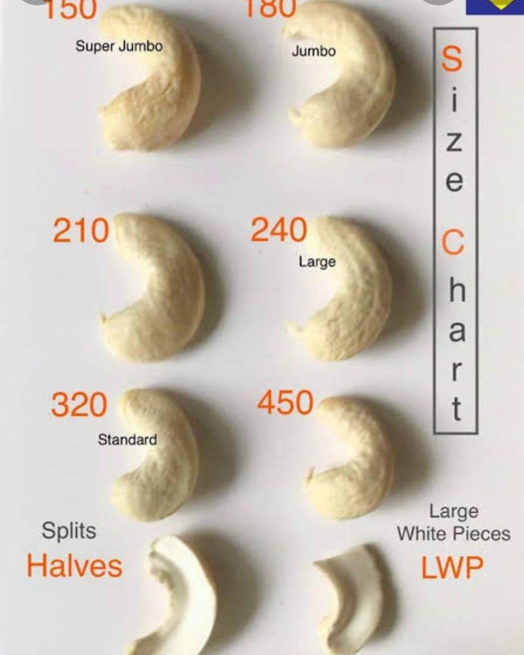 Cách phân biệt các sizze hạt điều