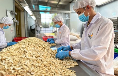 Xuất khẩu hạt Điều Bình Phước